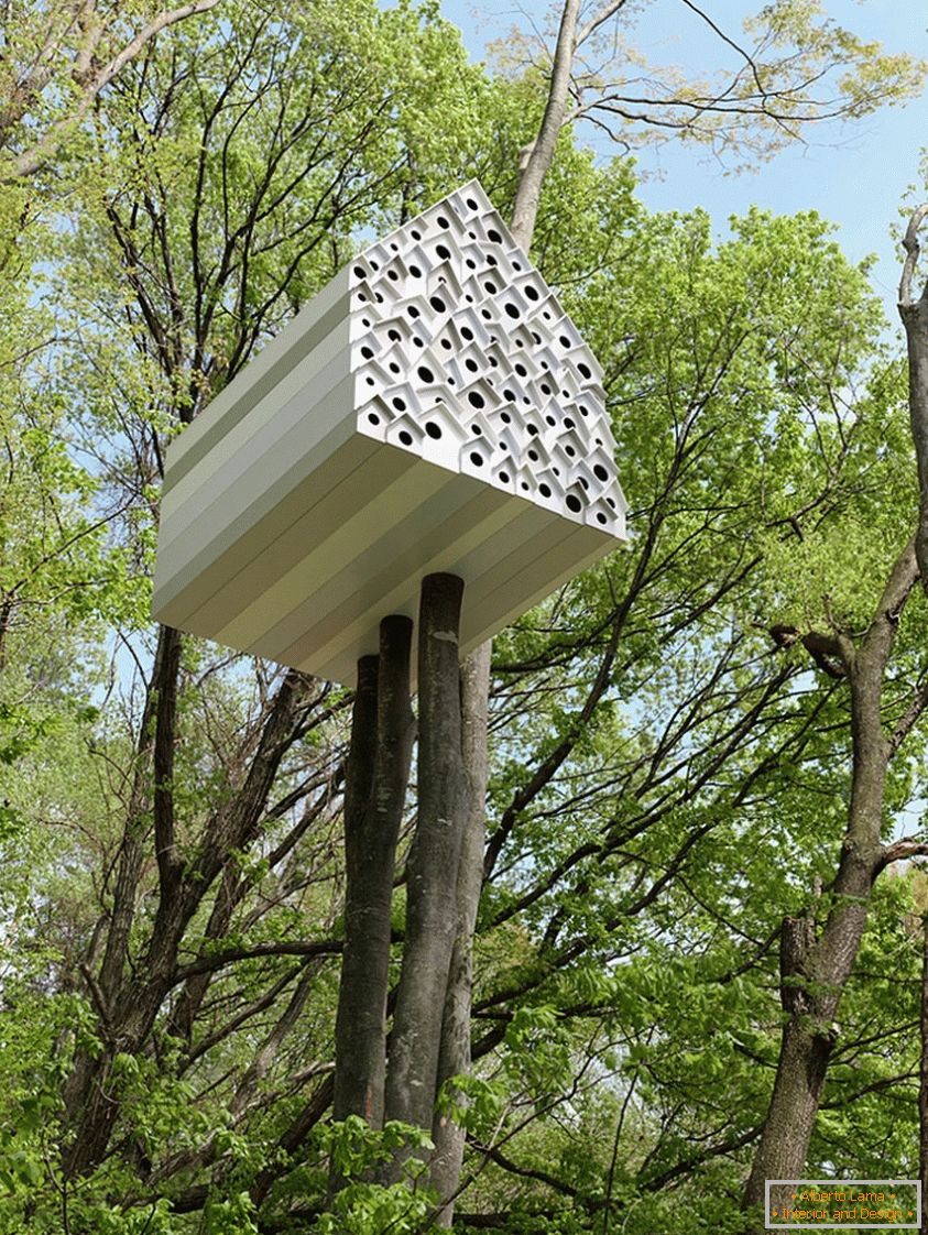 Treehouse for Birds and People (Japan)