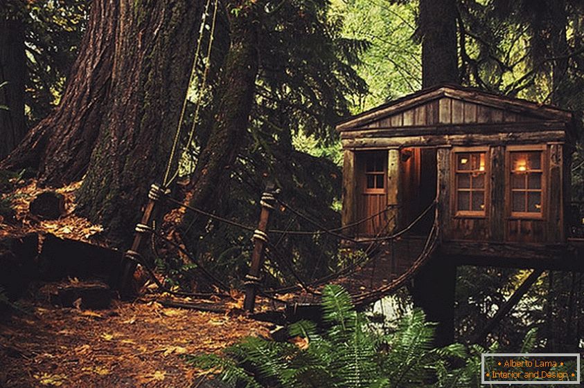 Treehouse u Sijetlu (Sijetl, SAD)