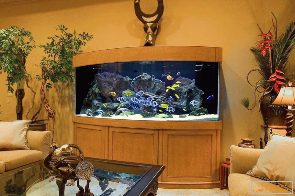 Prekrasan akvarijum в гостиной