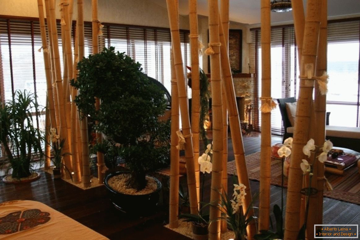 Bambus pregrada