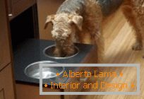 Dizajn za kućne ljubimce: napravite mesto za jedenje psa