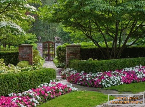 Cvijeće u dvorištu privatne kuće - najbolje moderne ideje 2017
