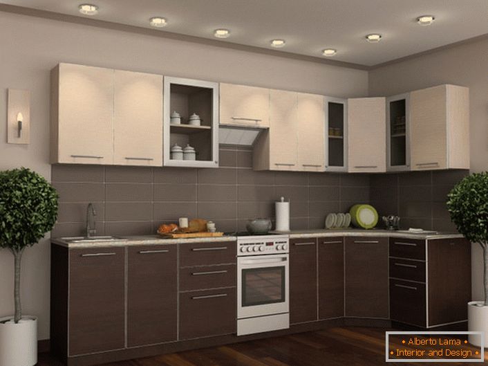 Kuhinjski set Wenge u kombinaciji sa pravilno odabranim dekorativnim elementima čini prostor elegantnim i elegantnim.