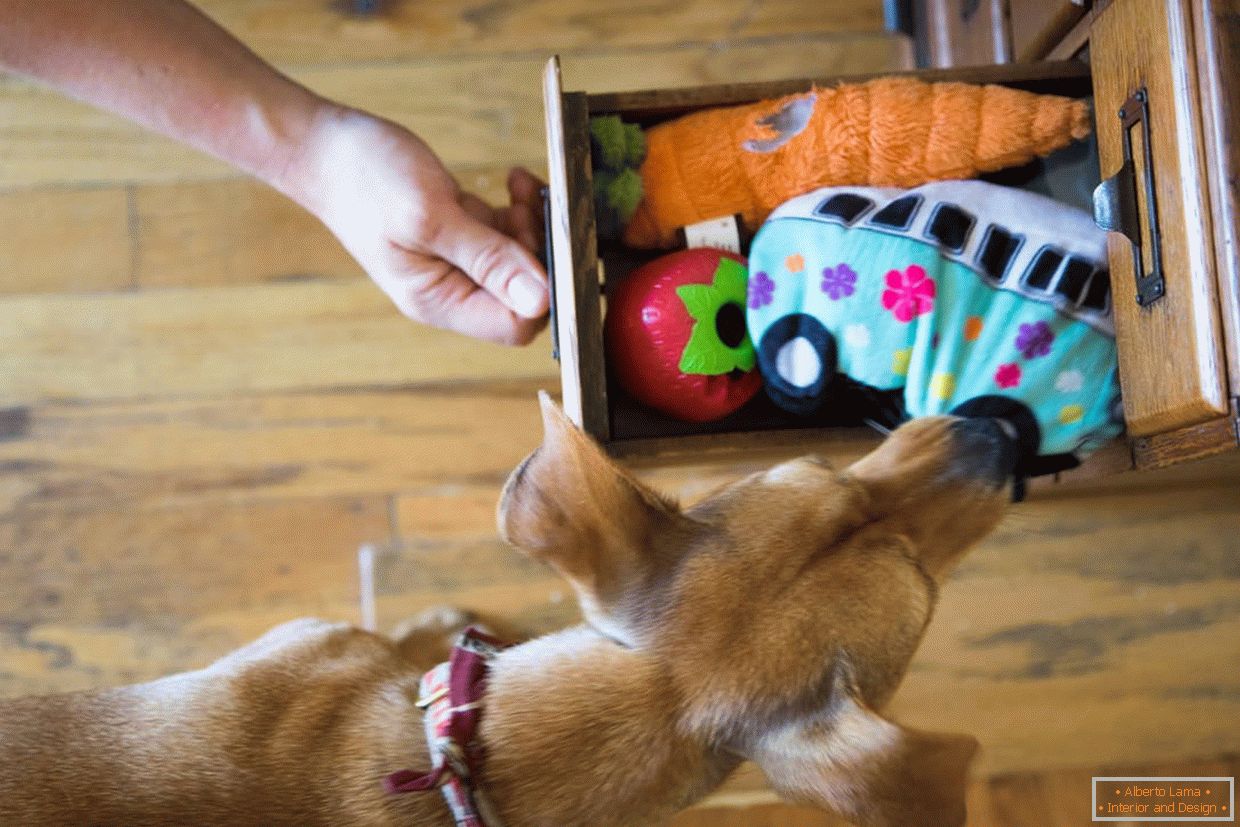 Kutija sa igračkama za pse
