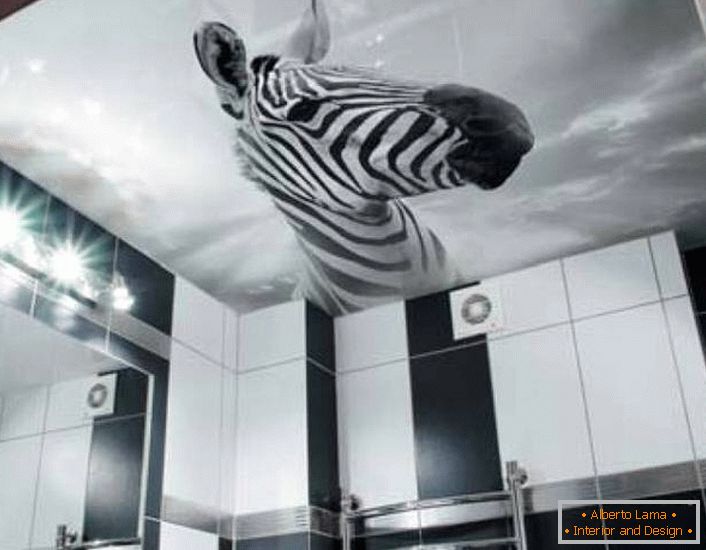 Neobično rešenje za ukrašavanje crnog i bijelog kupatila je slika zebre na stropovima sa rastojanjem sa štampanjem fotografija.