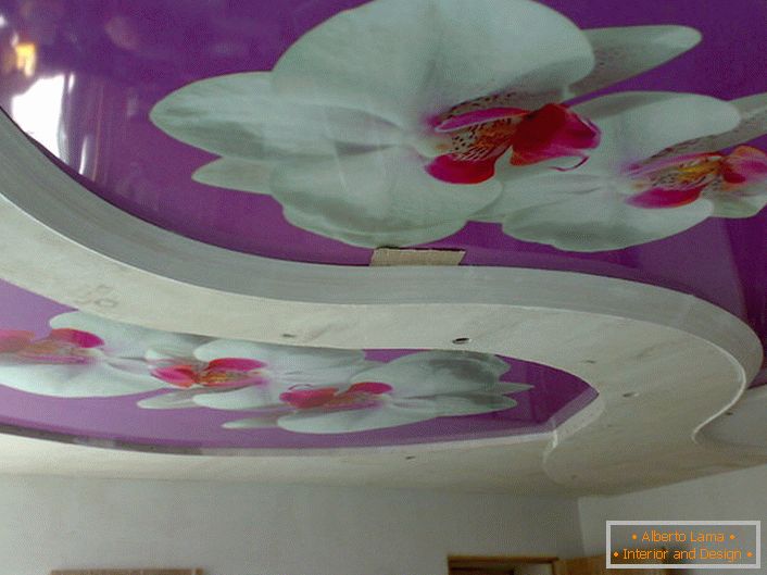 Kompozicija sa cvijećem na stropovima sa stjenčkom s fotografskom štampom - zanimljivo rješenje za uređenje dnevne sobe.