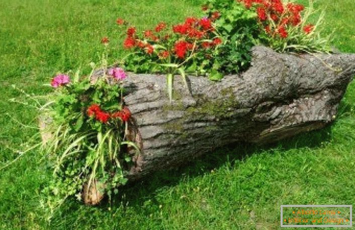 Iz dela srušenog stabla letač je napravio plišani krevet za svoje dvorište.