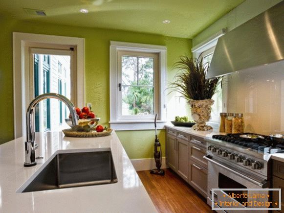 Dizajn kuhinje sa zelenim zidovima i plafonima
