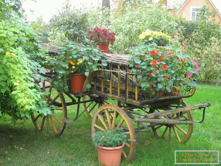 Originalni cvetni krevet u stilu zemlje može se napraviti iz stare kolica ili nepotrebnog bicikla.