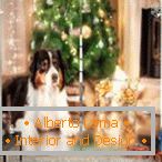 Pas na božićnom stablu na zavjesu