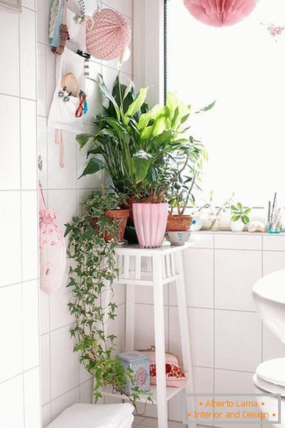 Biljke u uglu kupatila