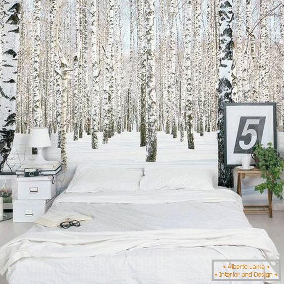 Foto pozadine za spavaonicu Birches