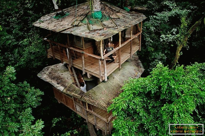 Eco-friendly Finca Bellavista Treehouse (Kosta Rika)