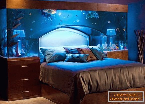 kreveti poput akvarijuma