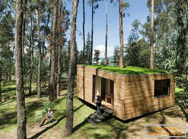 Mala kuća u šumi sa mahovitim krovom