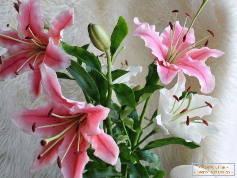 e107c595289c0a6sh1edce1serb-flowers-cvjetni-roze-ljiljan-od