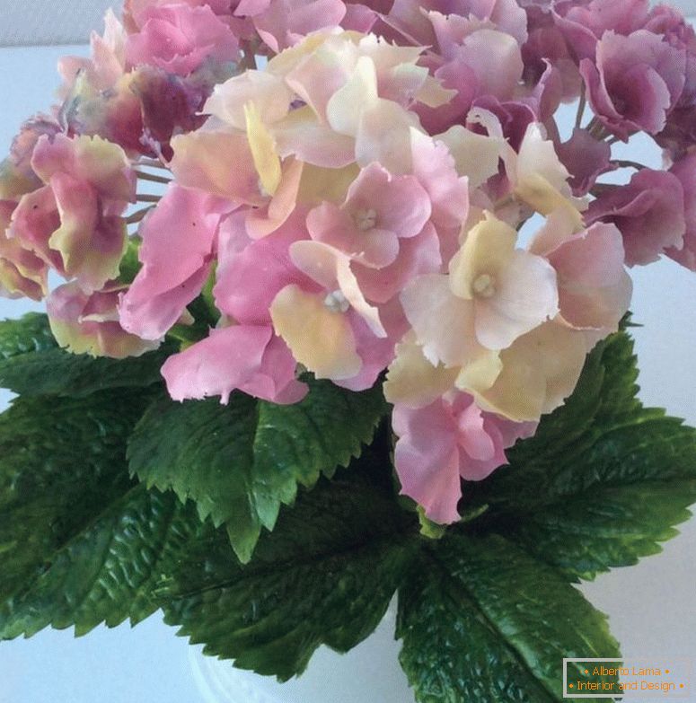 f49sa0aa77981v141bcaabfa66ed-flowers-floristics-hydrangea-flowers-floristics