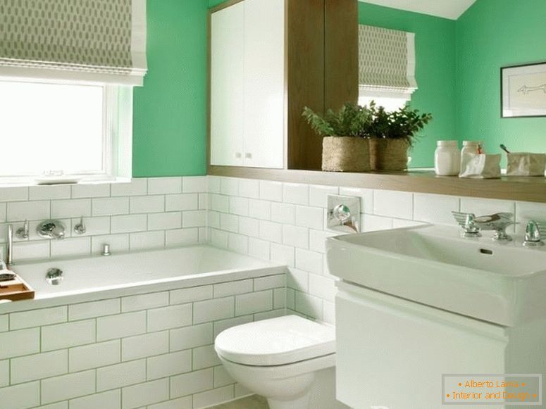 Bijelo-zeleno kombinirano kupatilo