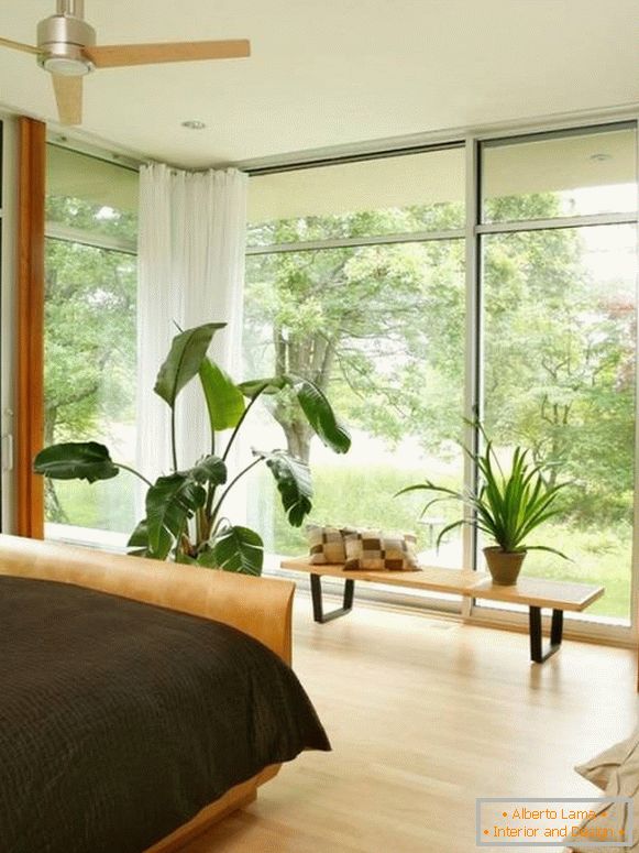 Veliki prozori i lončane biljke u spavaćoj sobi