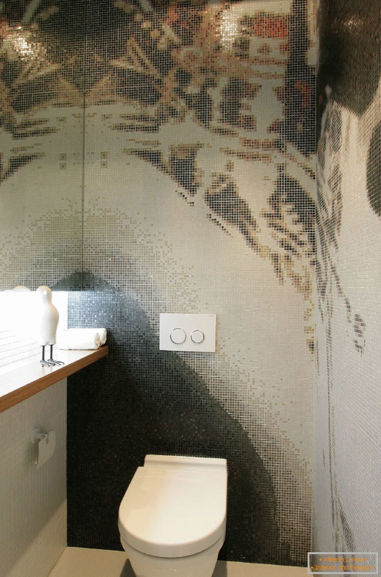 Dizajn toaleta - 150 fotografija kompetentnog dizajna