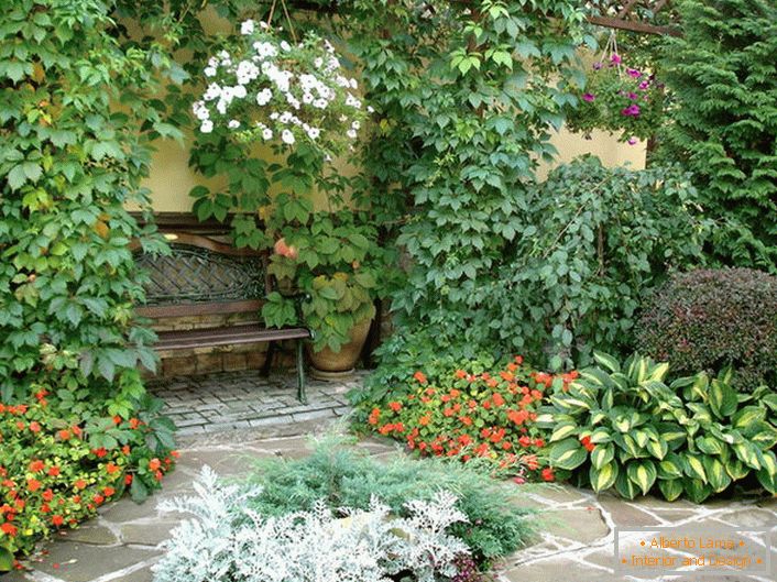 Raznolikost biljnog sveta u dvorištu ukazuje na prisustvo mediteranskog stila. Cvjetne cvijeće, uvikano divlje grožđe čini atmosferu romantičnom.