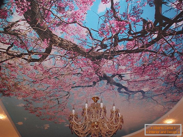 Cvetovi trešnje često koriste moderni dizajneri za ukrašavanje plafona. Rešenje za registraciju gostinjske sobe ili hodnika.