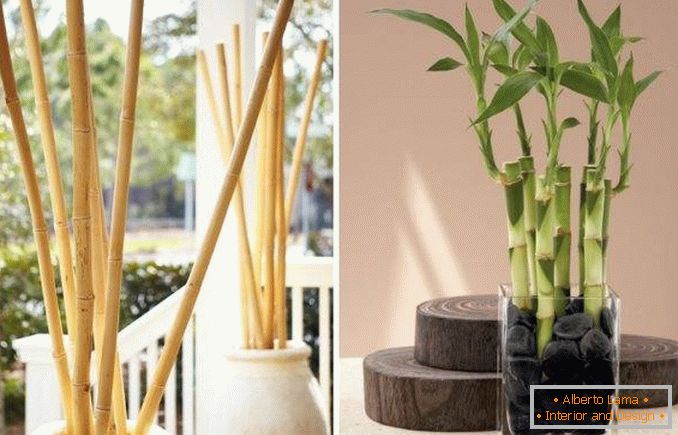 Bambus kao dekoracija