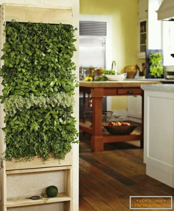 Zelene biljke u kuhinji