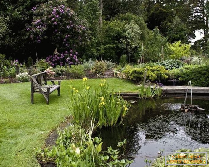 Uređenje vrta u bašti u prijatnom stilu u državi (52 fotografije)