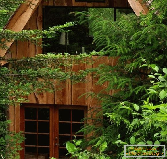 Kuća male šume (fotografija), США
