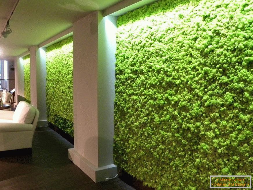 Moss na zidovima između kolona