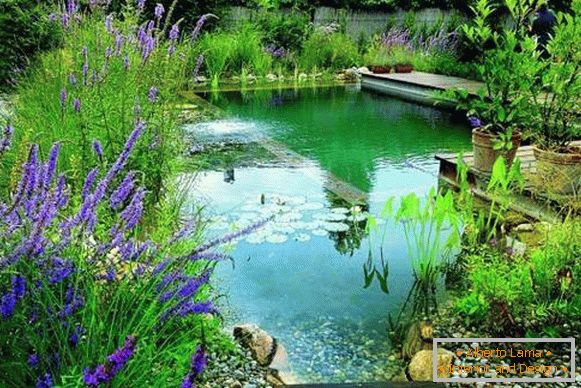 Predivna fotografija bazena - bazen za plivanje u dvorištu