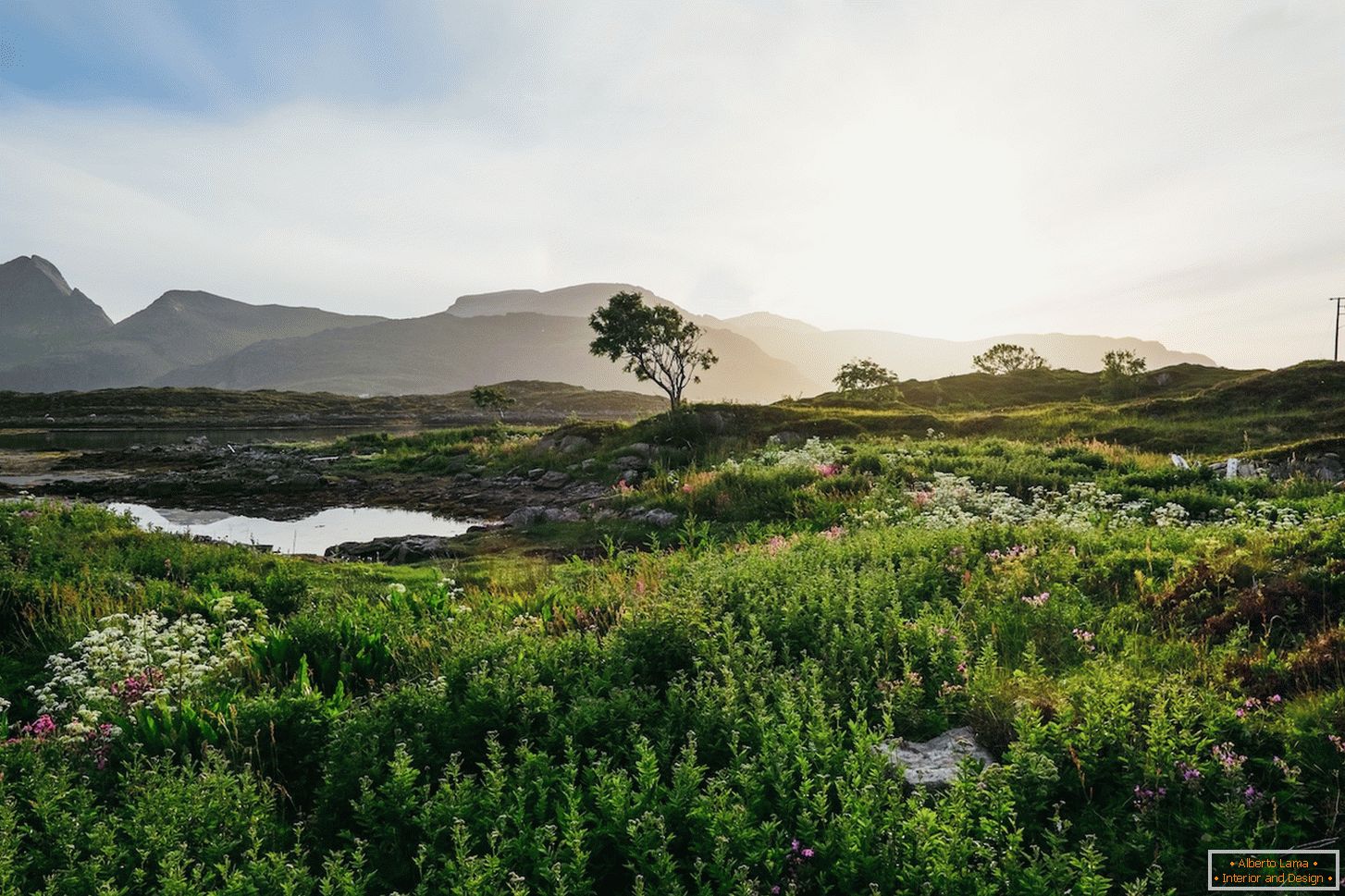 Sočan pejzaž polja Norveške