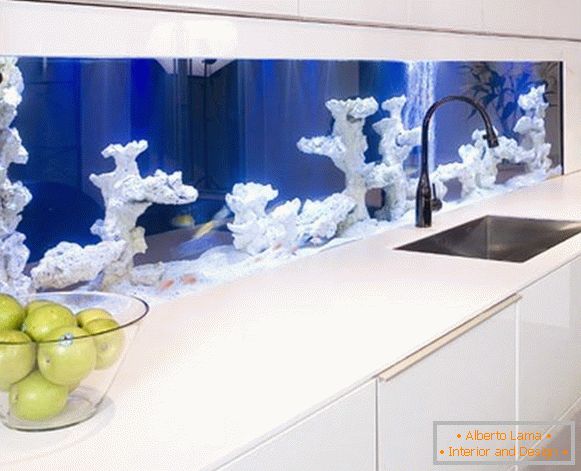 Akvarijum sa koralima u kuhinji