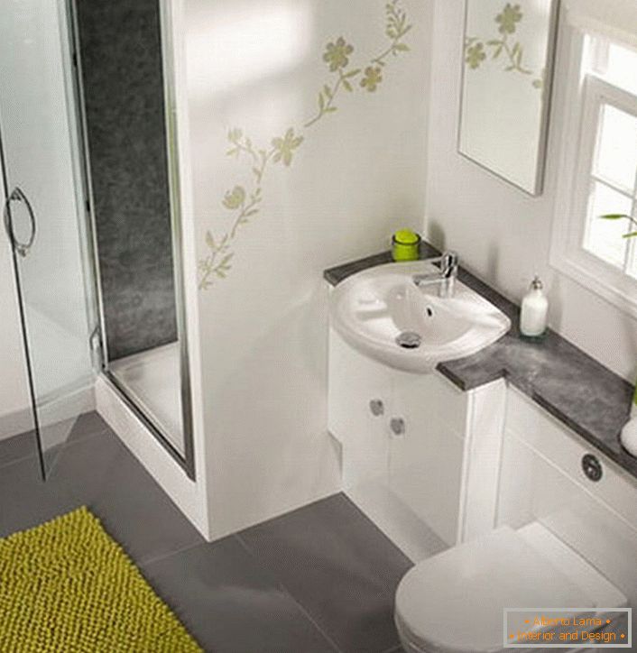 Stilski tuš u malom kupatilu biće odlična alternativa tradicionalnom kupatilu. 