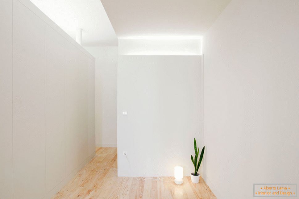 Unutrašnjost male studio apartmana u svetlim bojama - одинокий цветок