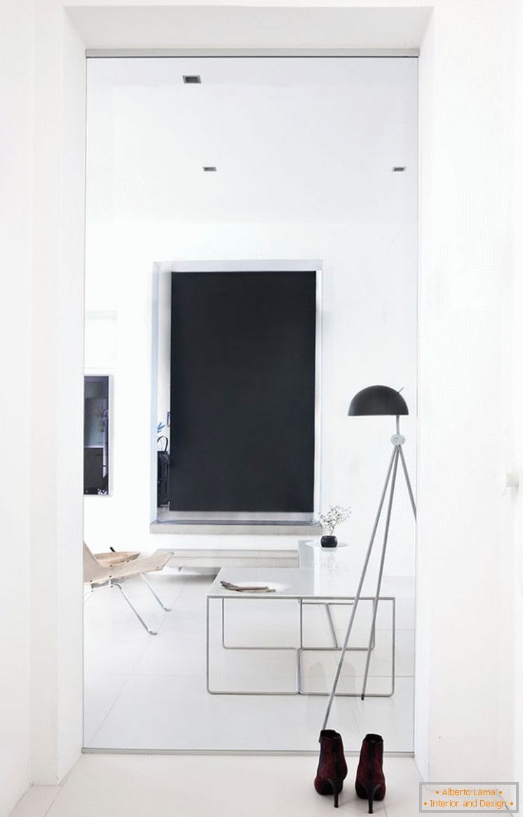 Dizajn malog stana u crno-beloj boji - фото 7