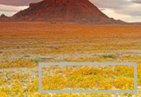 Deserti u Utahu eksplodirali su u bojama