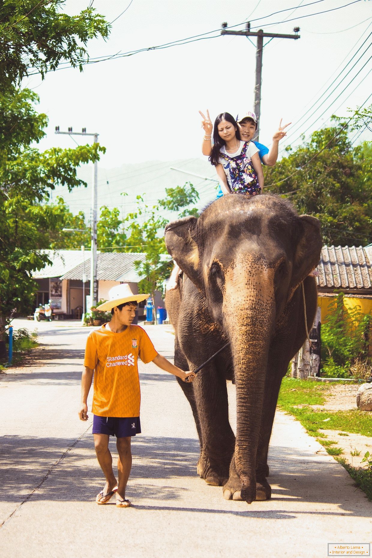 Putovanje na slonu