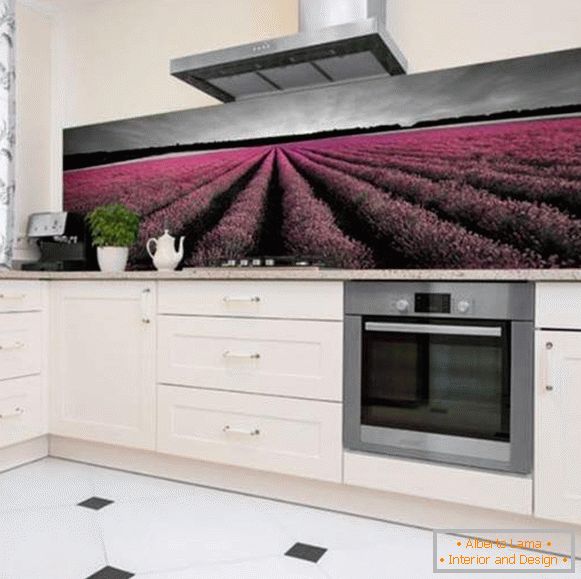 dizajn kuhinje sa dekorativnim kamenom i foto pozadinama, foto 3