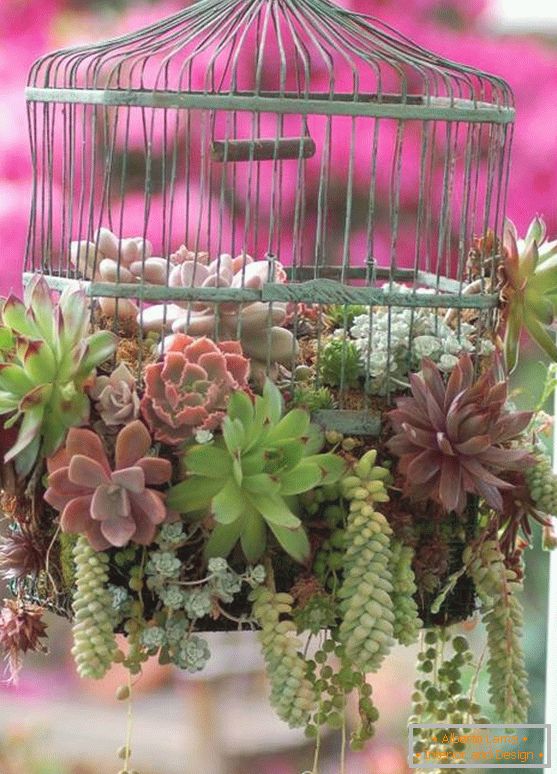 Kavez ptica sa biljkama
