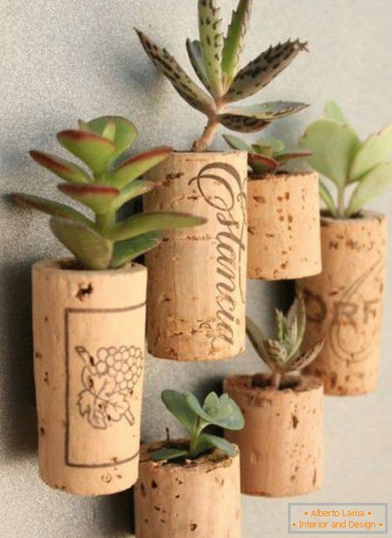 Succulents in wine stoppers
