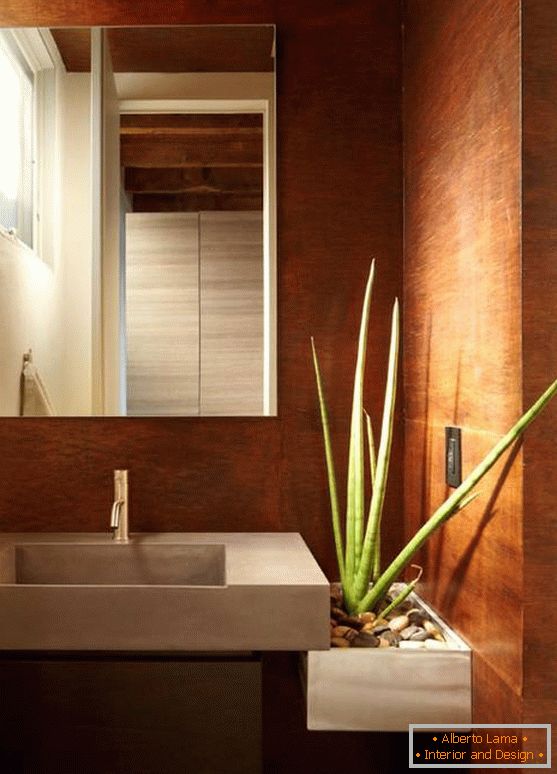 Aloe vera u modernoj kupaonici