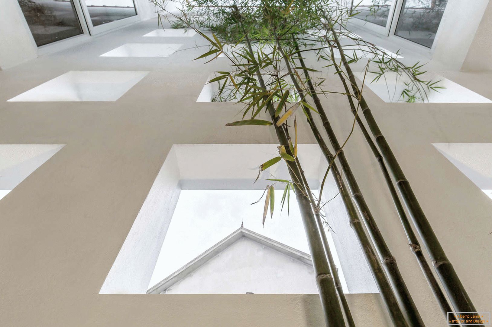 Bambus u uskoj betonskoj kući