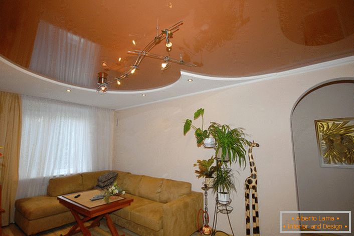 Skroman i jednostavan dizajn stropnog plafona odlično izgleda u unutrašnjosti sobe za goste.