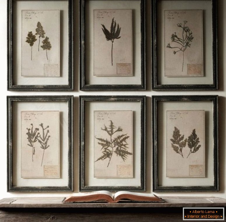 Herbarium на стене в интерьере