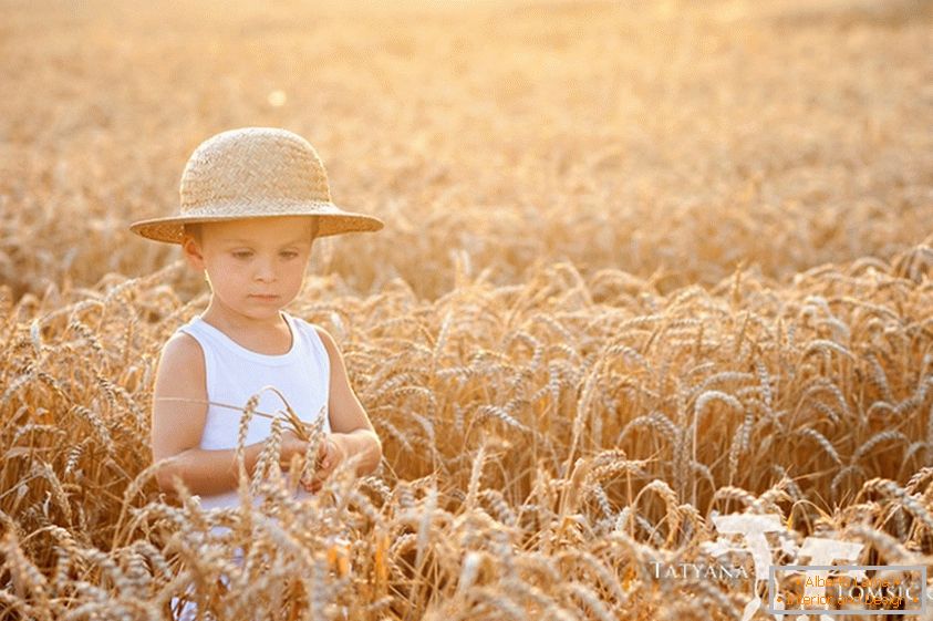 Dete u polju pšenice