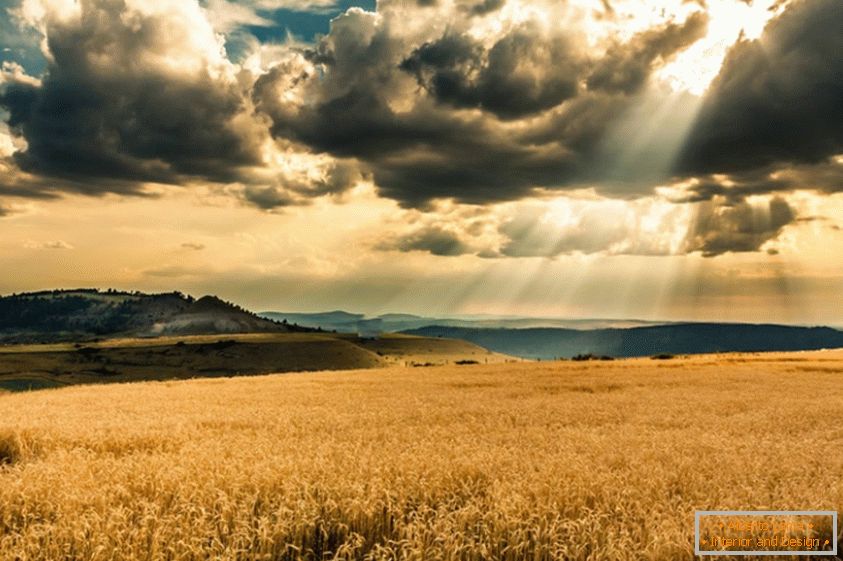 Sunce prolazi kroz oblake iznad polja pšenice