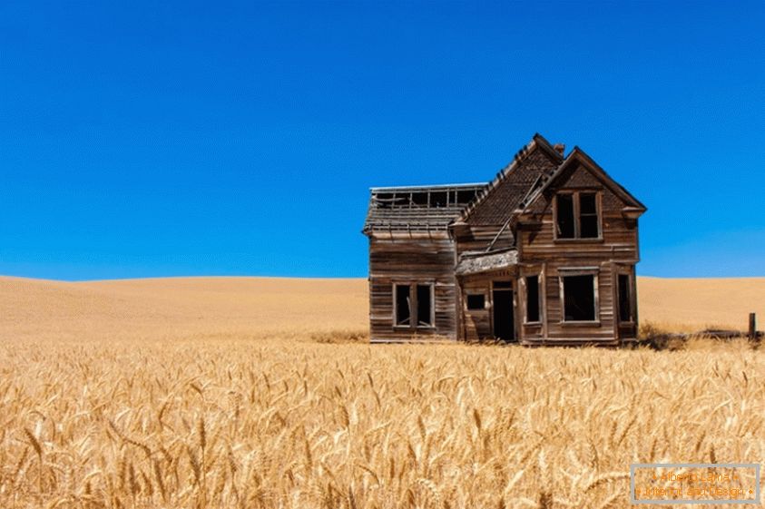 Stara kuća u polju pšenice