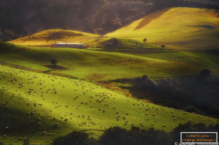 Krajolici Novog Zelanda Dylan Toh